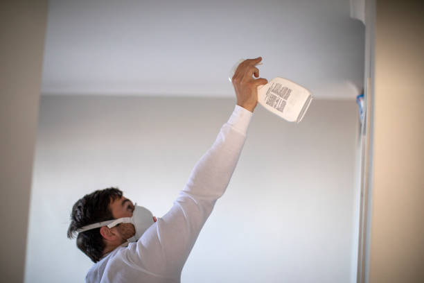 Crawl Space Mold Removal in Pontiac, IL