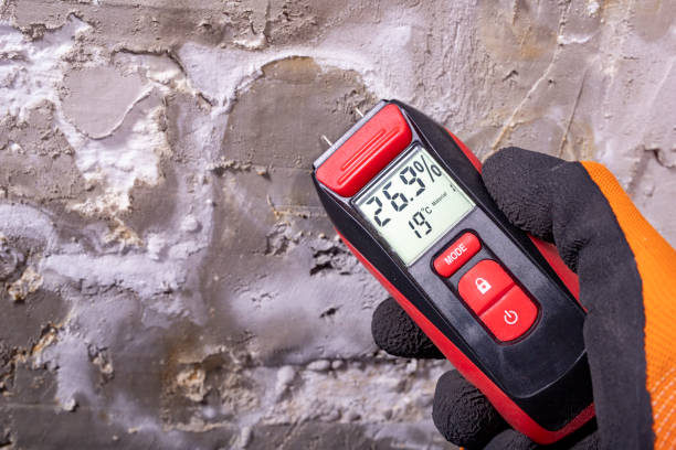 Best Mold Damage Repair  in Pontiac, IL