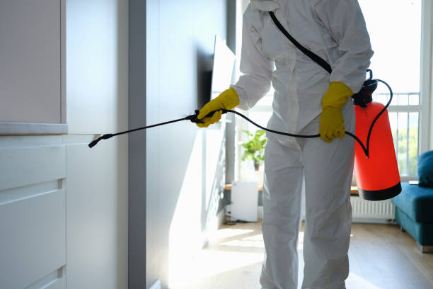 Best Mold Cleaning Services  in Pontiac, IL