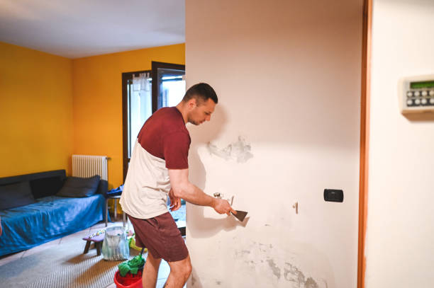Best Mold Remediation Experts  in Pontiac, IL